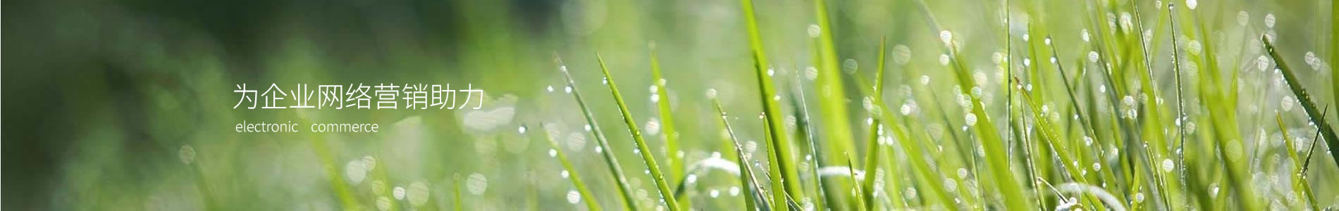 ɷݿƼ޹˾